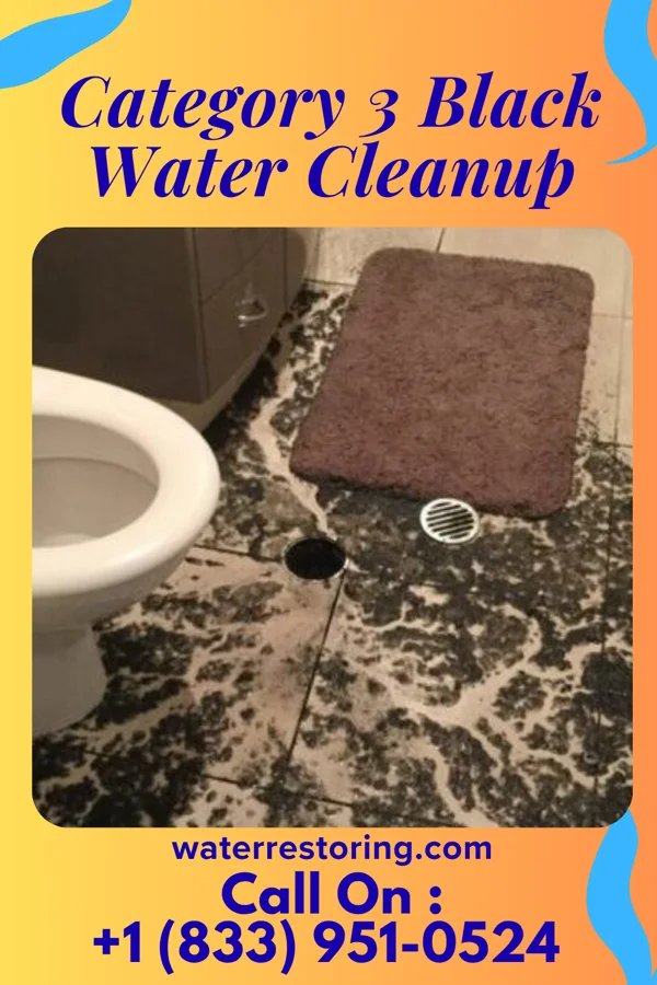 Category 3 Black Water Cleanup in Portland, OR