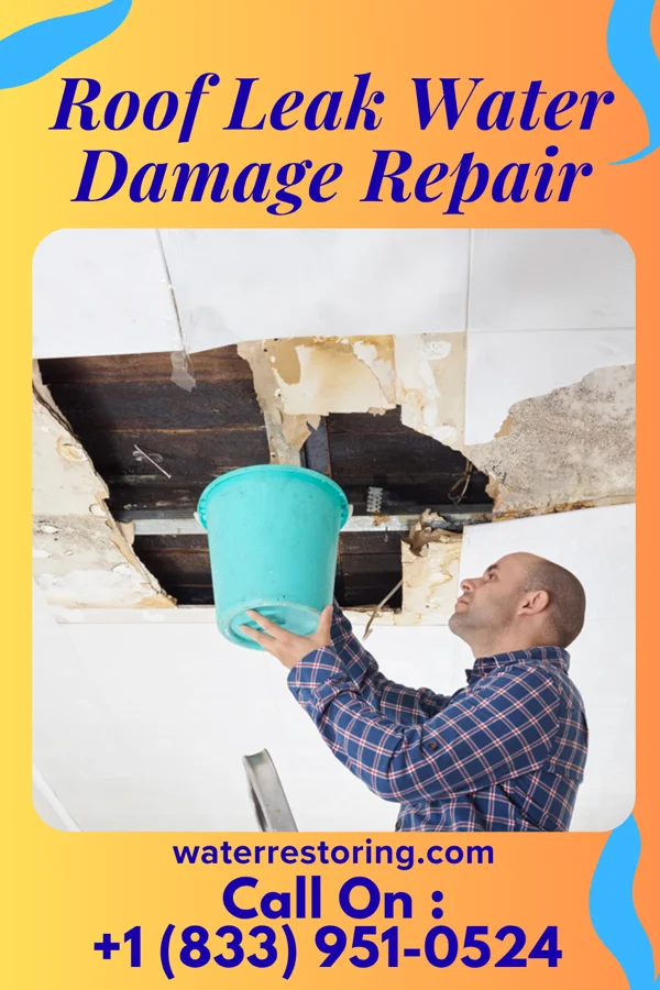 Roof Leak Water Damage Repair in Portland, OR